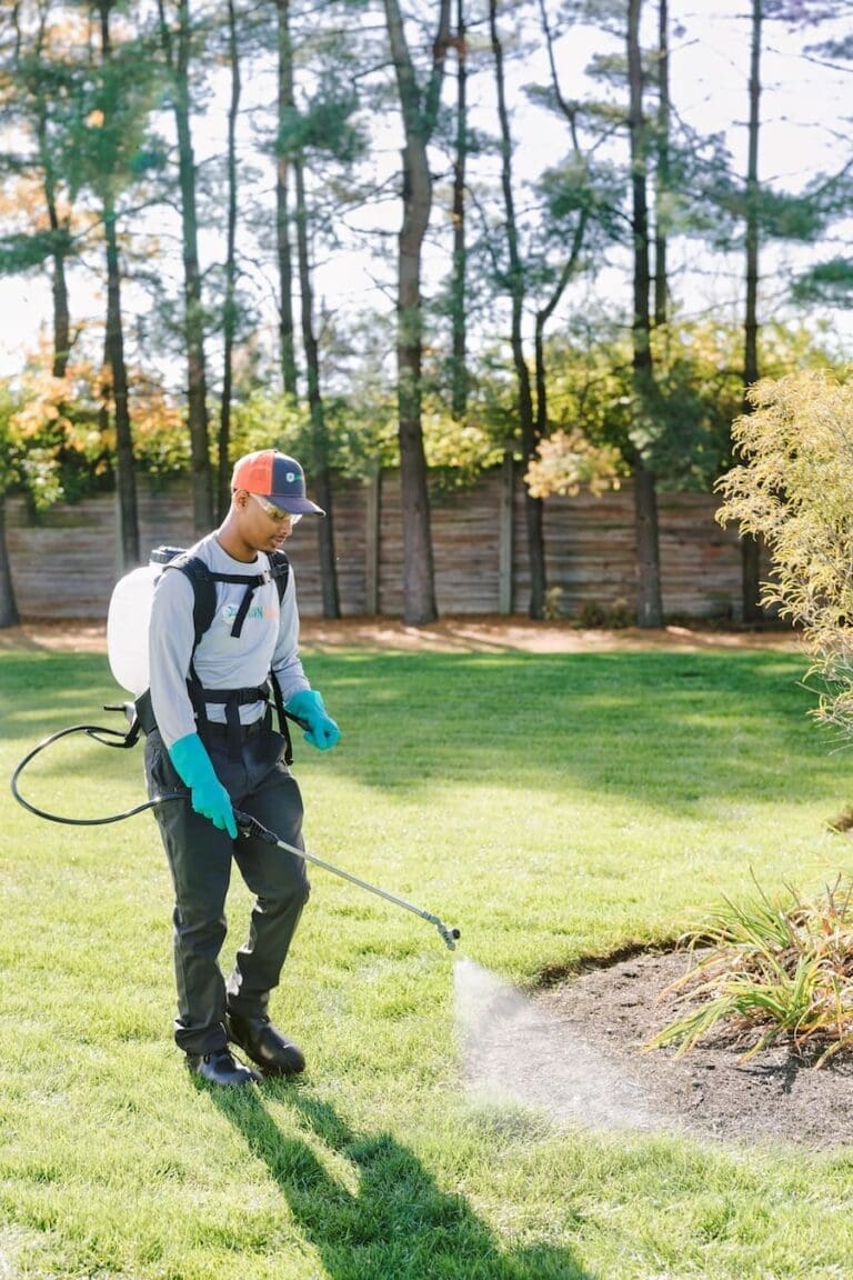 home-perimeter-pest-spray-lawn-squad (1)